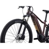 Tempt E+ 1 29er L Figuier M23