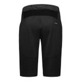 GORE Fernflow Shorts Mens