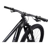 Trance Advanced Pre 29 1 M Carbon/Black Diamond M23