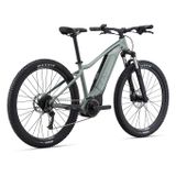 Tempt E+ 3 29er M Eucalyptus M23