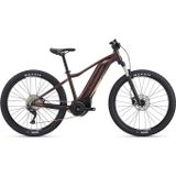 Tempt E+ 1 29er L Figuier M23