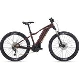 Tempt E+ 1 29er M Figuier M23